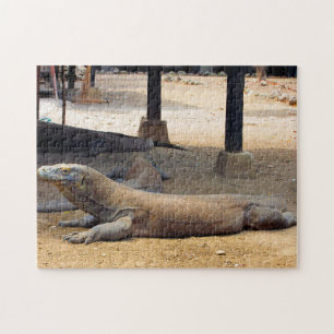Indonesischer Nationalpark Komodo-Drache.