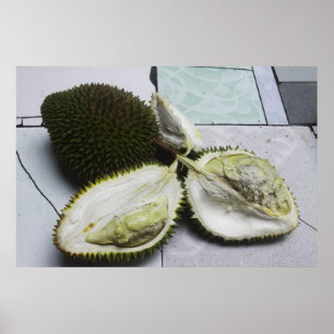 Infamous Durian Fruit Poster