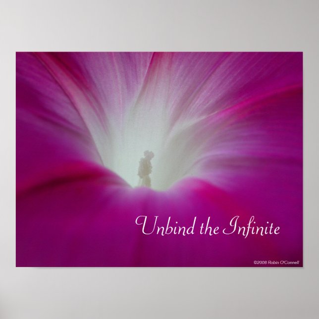 Infini Poster (Vorne)
