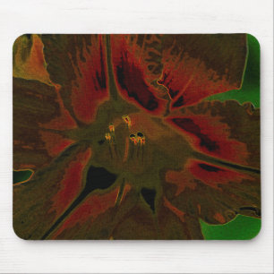 Infloreszenz der Allium aflatunense Mousepad