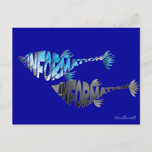 Info Fish Postkarte (Vorderseite)