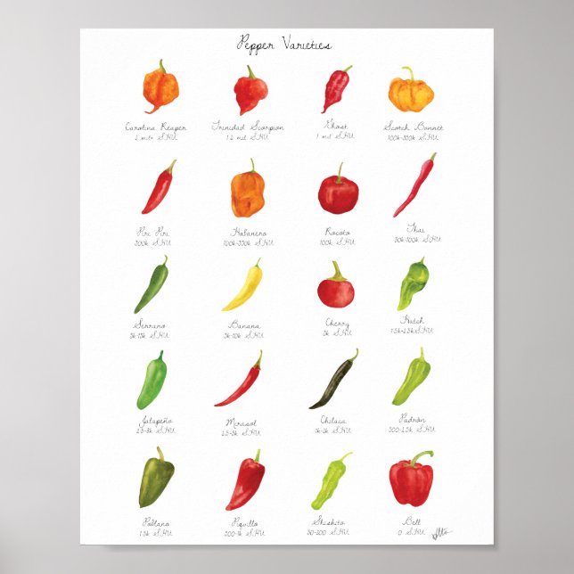 Infografik von Wasserfarbenpepper Poster (Vorne)