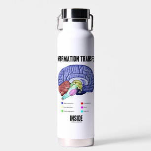 Informationsübertragung im Gehirnanatomie-Spaß Trinkflasche