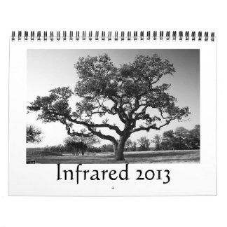 Infrarot - 2013 kalender