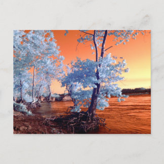 Infrarot-Flusslandschaft Postkarte
