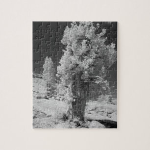 Infrarot-Foto der Ostseite des Yosemite National