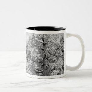 Infrarot-Foto der Ostseite des Yosemite National 2 Zweifarbige Tasse