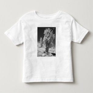 Infrarot-Foto der Ostseite des Yosemite National Kleinkind T-shirt