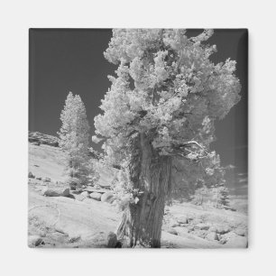 Infrarot-Foto der Ostseite des Yosemite National Magnet