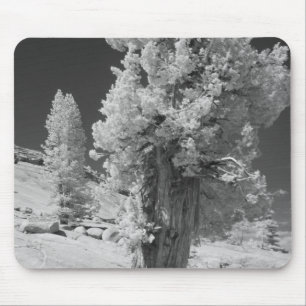 Infrarot-Foto der Ostseite des Yosemite National Mousepad