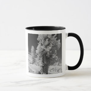 Infrarot-Foto der Ostseite des Yosemite National Tasse