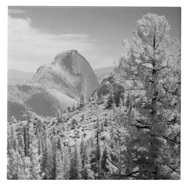 Infrarot-Foto im Osten des Yosemite National 2 Fliese (Vorderseite)