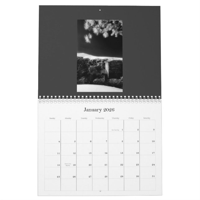 Infrarot in Natur-Kalender 2010 Kalender (Jan 2026)