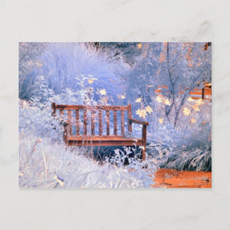 Infrarot Park Bench Postkarte