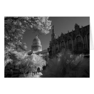 Infrarouge du dôme du bâtiment du Capitole à La Ha