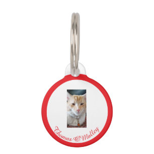 Ingwer Cat , Name Foto Personalisiert, Funny Text, Haustiermarke