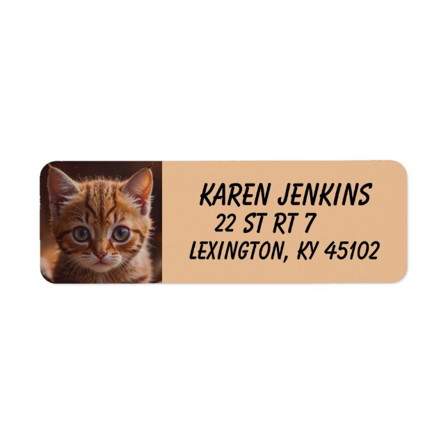 INGWER-KÄTZCHEN-KATZE INDIVIDUELLE RÜCKSENDUNG-ADR (Vorne)