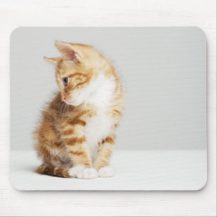 Ingwer-Kätzchen Mousepad