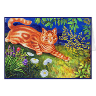 Ingwer-Katze