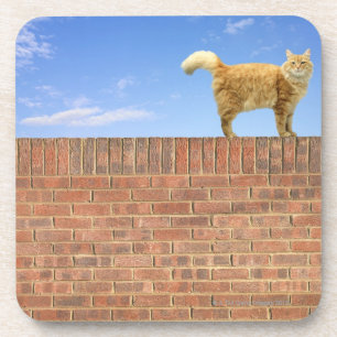 Ingwer-Katze stehend auf Ziegelstein-Wand Untersetzer