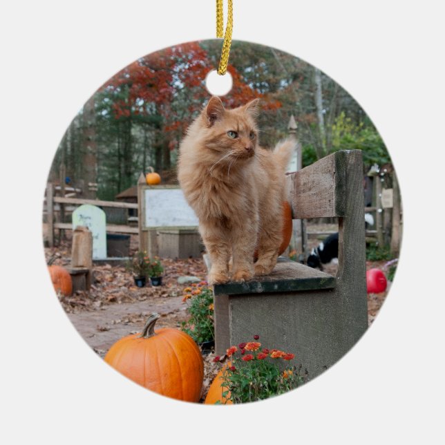 Ingwer-Katze und Kürbis-Verzierung Keramik Ornament (Vorne)