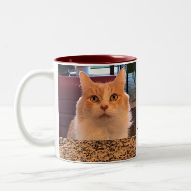 Ingwer-Katzen-bestellenlebkuchen Latte bitte! Zweifarbige Tasse (Links)