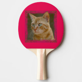 Ingwer-Katzen-Klingeln Pong Paddel Tischtennis Schläger