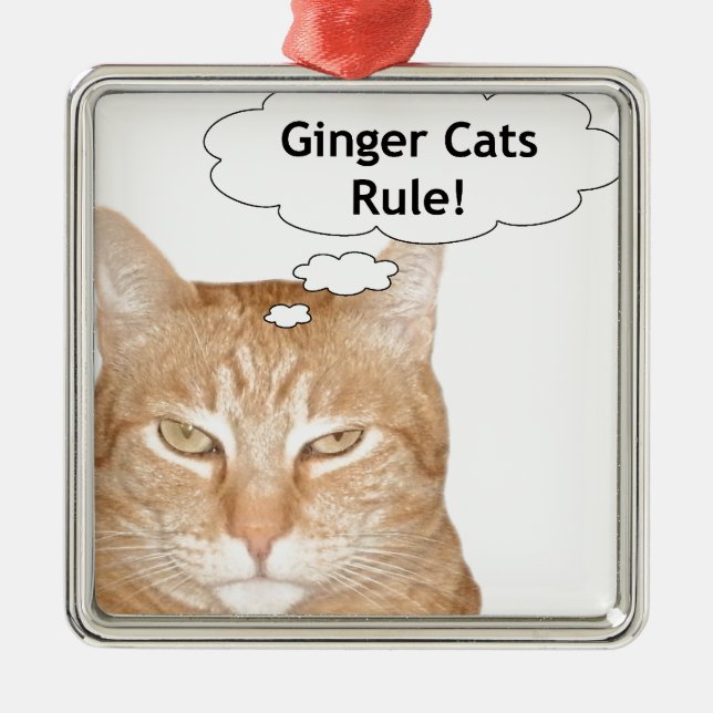 Ingwer-Katzen-Regel Silbernes Ornament (Vorne)