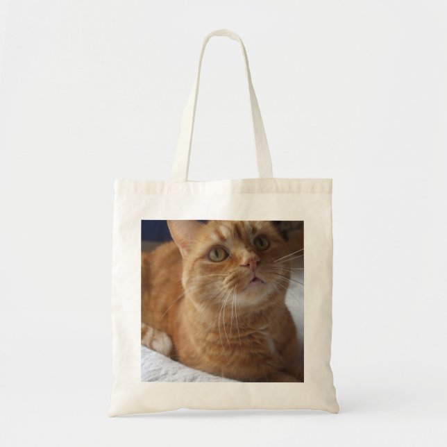 Ingwer-Katzen-Taschen-Tasche Tragetasche (Vorne)