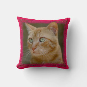 Ingwer-Katzen-Wurfs-Kissen Kissen