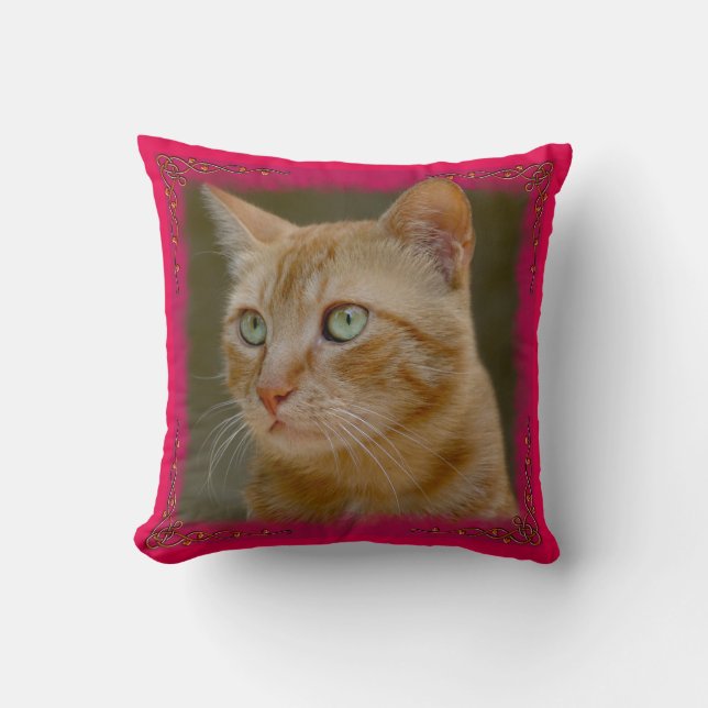 Ingwer-Katzen-Wurfs-Kissen Kissen (Vorderseite)