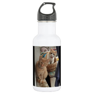 Ingwer Katzenflaschen Edelstahlflasche
