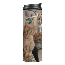 Ingwer Katzenwärmer Thermosbecher