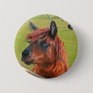 Ingwer-Lama Button