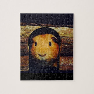 Ingwer-Meerschweinchen-Geschenke