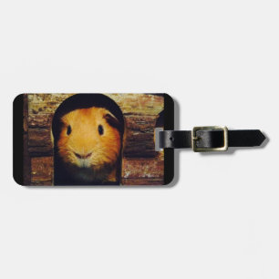 Ingwer-Meerschweinchen-Geschenke Gepäckanhänger