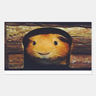 Ingwer-Meerschweinchen-Geschenke Rechteckiger Aufkleber
