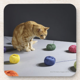 Ingwer Tabbykatze, die auf Tabelle sitzt Untersetzer