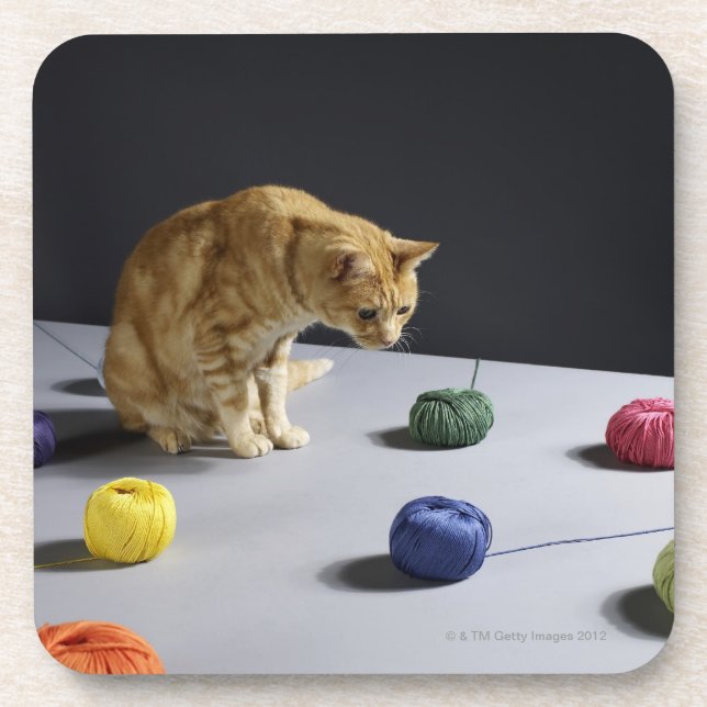 Ingwer Tabbykatze, die auf Tabelle sitzt Untersetzer (Vorderseite)