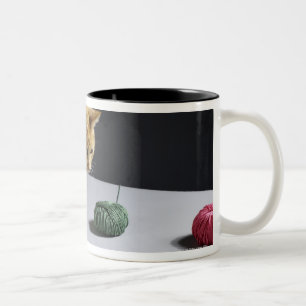 Ingwer Tabbykatze, die auf Tabelle sitzt Zweifarbige Tasse