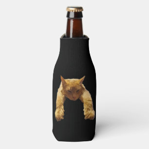 Ingwerfaule Katze, Flaschenkühler
