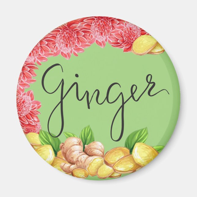 Ingwergewürz Magnet (Vorne)