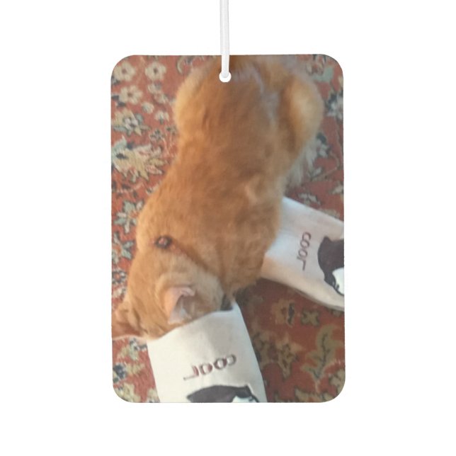 Ingwerkatze Autolufterfrischer (Vorderseite)