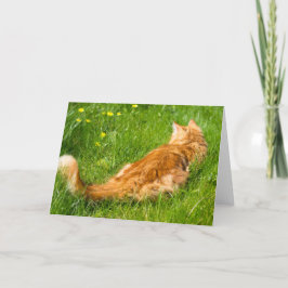 Ingwerkatze im Frühling Karte