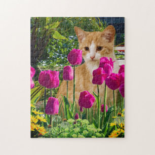 Ingwerkatze im Tulpen Garten