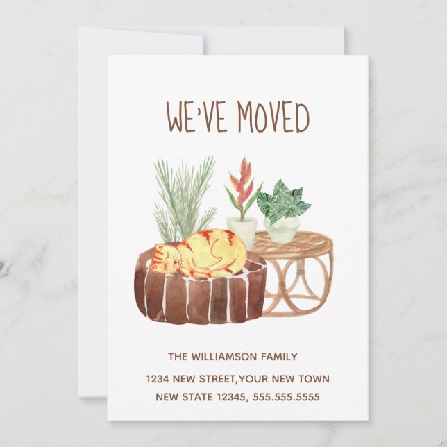 Ingwerkatze Wir haben bewegende Ankündigung versch (Vorderseite)