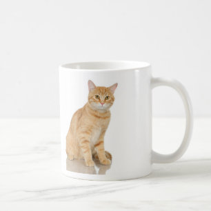 IngwerTabby Kaffeetasse