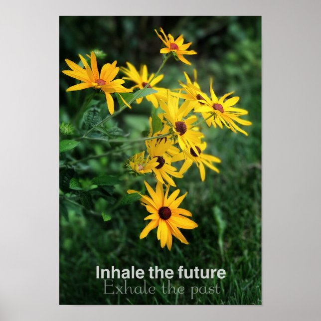 Inhale the Future Poster (Devant)