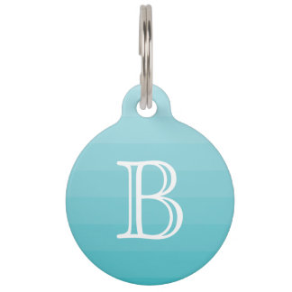 Initial Cyan Blue Shades Monogram Tiernamensmarke