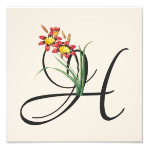 Initial H, Vintage Harlequin Blumen-Fotoabzug Fotodruck